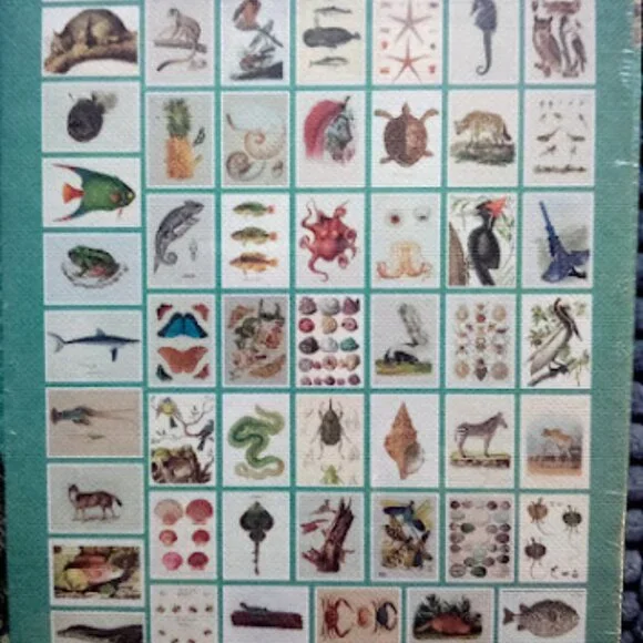 Postcards of 60 Rare Book Illustrations - Picture 5 of 5